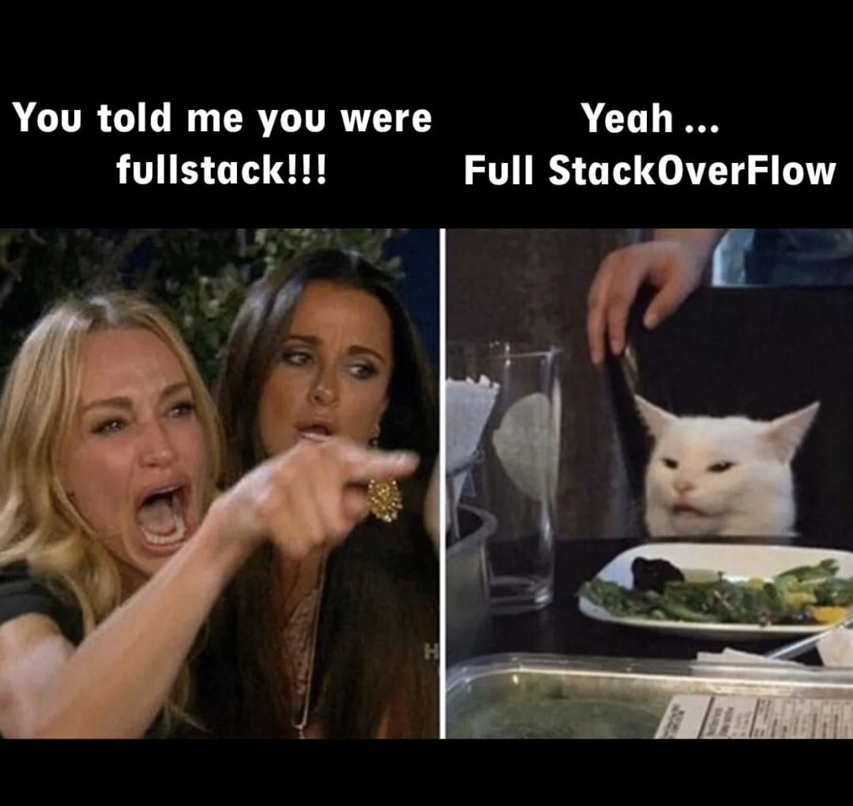 Meme of woman with accusing face telling cat “You told me you were fullstack!” and cat responds “Yeah…full stackoverflow”