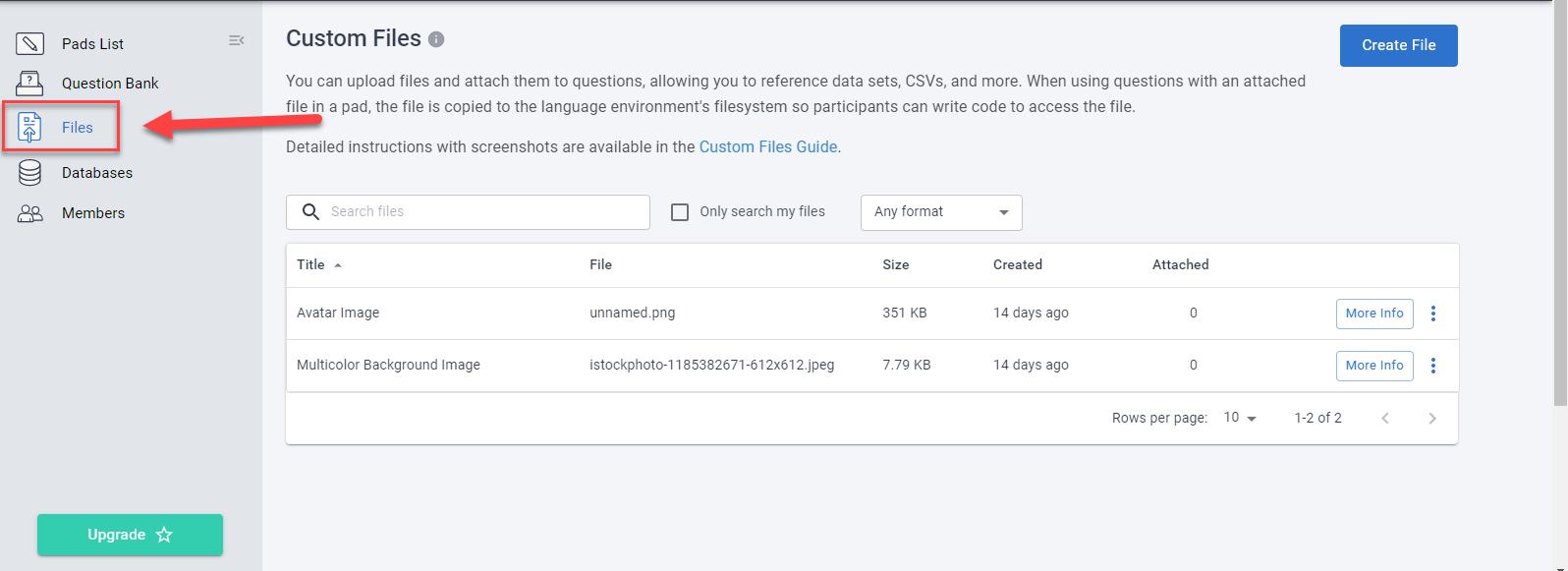 Custom files CoderPad