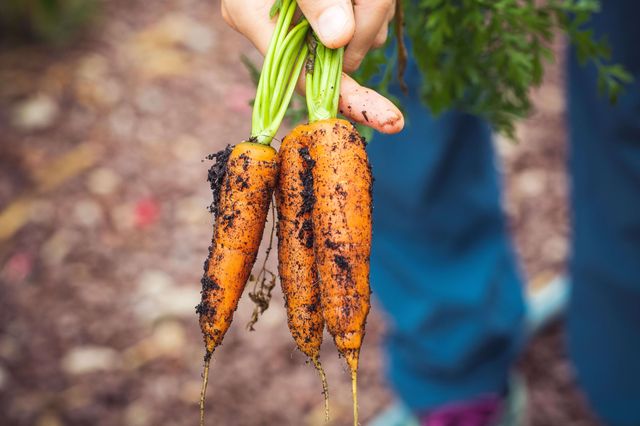 Benefits for tech candidates: handful of carrots
