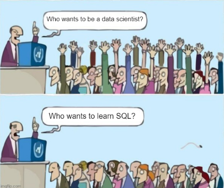 Panel comic. On the top a man is speaking to an audience and says "who wants to be a data scientist?"; everyone in the crowd has their hand raised. On the bottom the speaker now says "who wants to learn sql?", and no one in the crowd has their hand raised.
